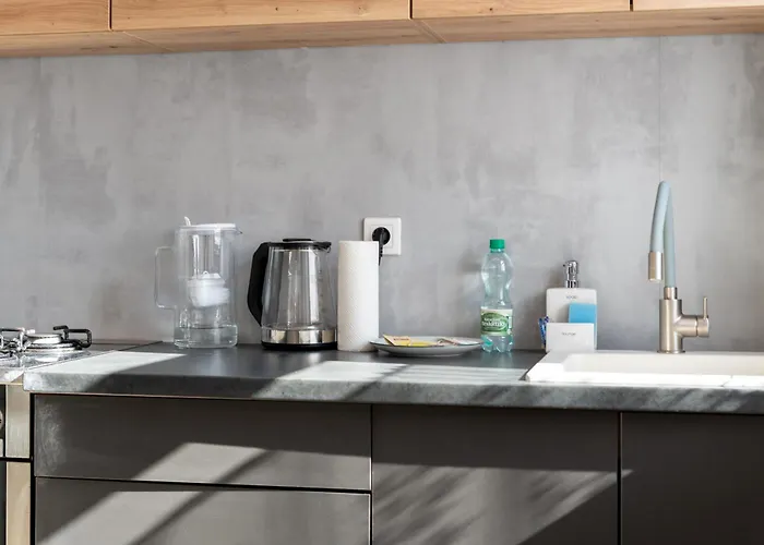 Apartment Daszynskiego Urban Comfort By Bookinghost Gliwice