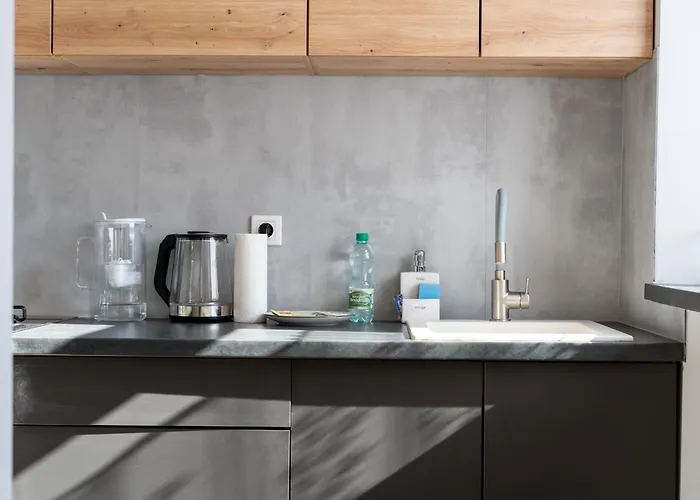 Apartment Daszynskiego Urban Comfort By Bookinghost Gliwice